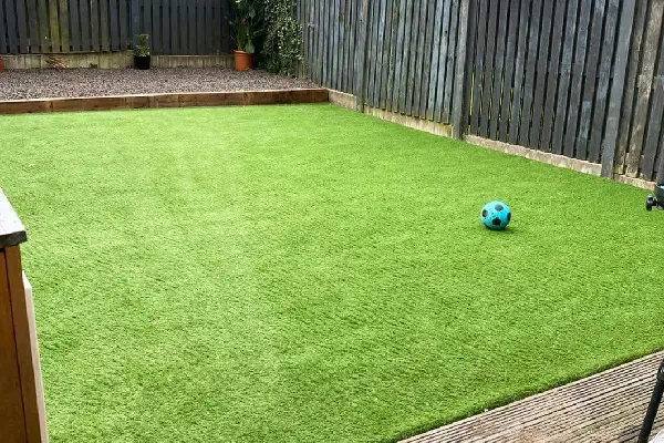 Back yard with freshly cut lawn
